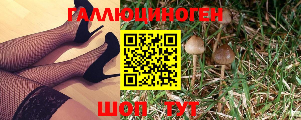 Псилоцибиновые грибы Psilocybe  Галлюциногенные грибы Cubensis  Вход с VPN  Нарткала 