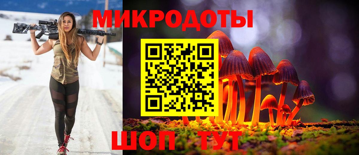 Псилоцибиновые грибы Psilocybe Нарткала